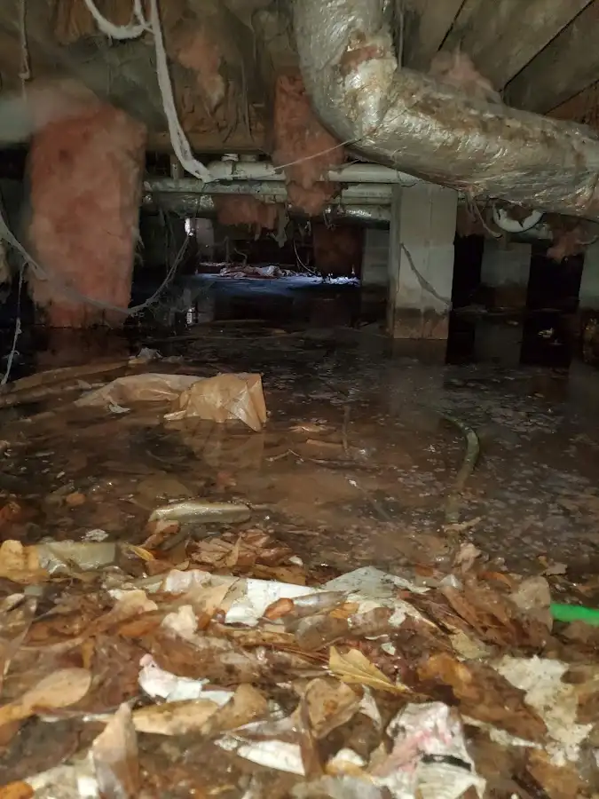 Crawl space flood assessment for Leak Detection & Repair in Arcadia