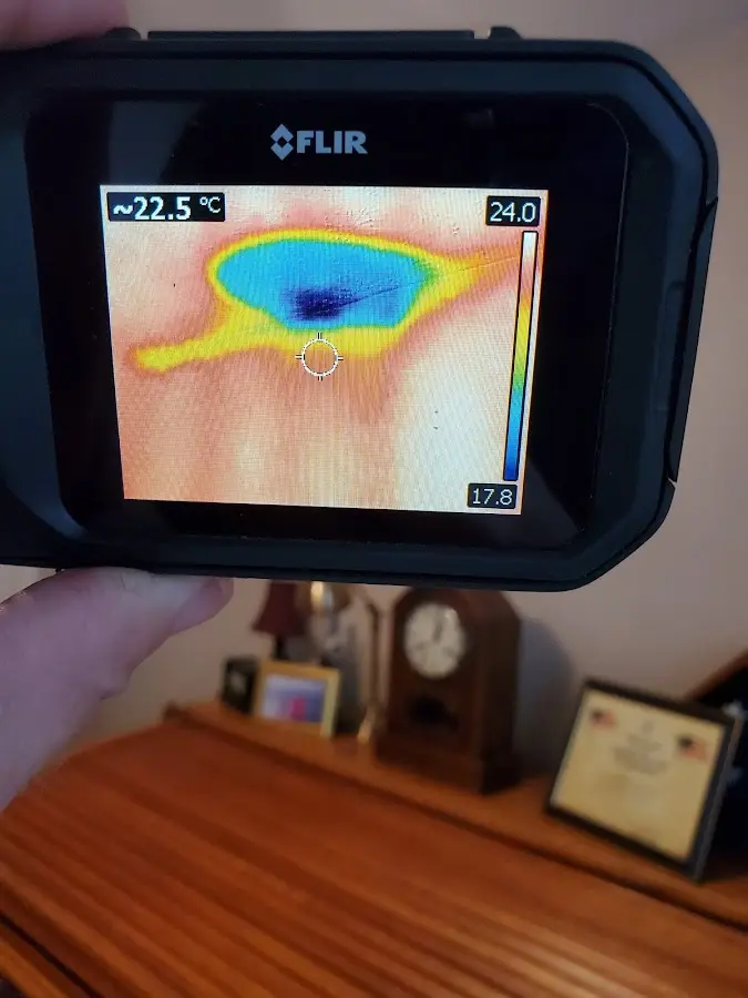 Thermal imaging inspection for water damage in Arcadia